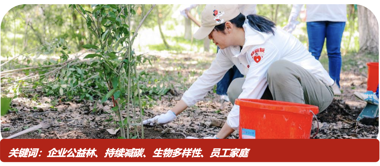 截屏2024-02-29 11.01.01.png 截屏2024-02-29 11.01.01.png